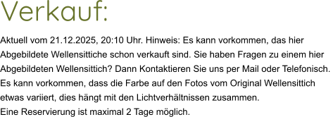 Verkauf:  Aktuell vom 21.12.2025, 20:10 Uhr. Hinweis: Es kann vorkommen, das hier  Abgebildete Wellensittiche schon verkauft sind. Sie haben Fragen zu einem hier  Abgebildeten Wellensittich? Dann Kontaktieren Sie uns per Mail oder Telefonisch.  Es kann vorkommen, dass die Farbe auf den Fotos vom Original Wellensittich  etwas variiert, dies hängt mit den Lichtverhältnissen zusammen.  Eine Reservierung ist maximal 2 Tage möglich.