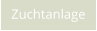 Zuchtanlage